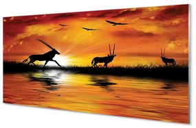 Pannello paraschizzi cucina Uccelli del lago al tramonto 100x50 cm