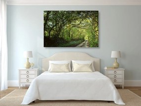 Quadro su tela – Foresta da fiaba