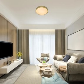 Rabalux 71038 -LED Plafoniera dimmerabile TESIA LED/60W/230V 3000-6000K+telecomando