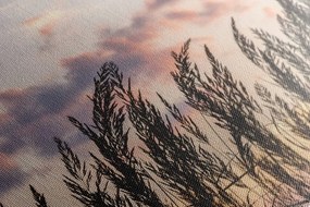 Quadro su tela – Spighe di erba lunga