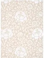Little Greene Carta da parati Lansdowne Walk - Frost