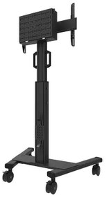 Supporto TV Neomounts FL50S-825BL1 37" 70 Kg