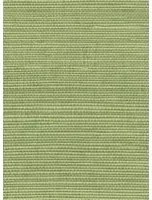 Élitis Tapete Sisal - RM 1069 63
