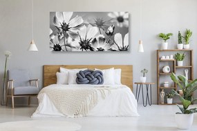 Quadro su tela – Fiori da giardino in bianco e nero