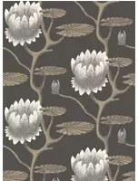 Cole & Son Carta da parati Summer Lily - Black and Gilver