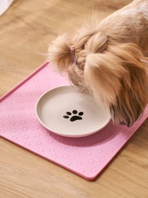 Sinsay - Ciotola per cani - panna