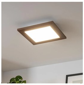 Brilagi - Luce LED dimmerabile SLIMFRAME WOOD LED/25W/230V 34x34 cm + +TC