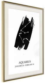 Poster  Zodiac: Aquarius I  Cornice Quadri Cornice d'oro con passe-partout, Larghezza x Altezza Home decor 20x30