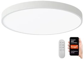 Immax NEO 07252L -Luce LED dimmerabile SEMPLICI 48W/230V Wi-Fi Tuya bianco + TC