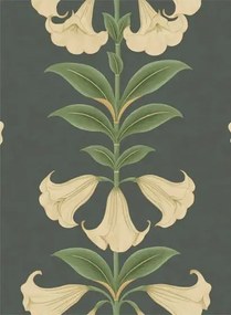 Cole & Son Carta da parati Angels Trumpet - Cream/ Olive Green on Charcoal