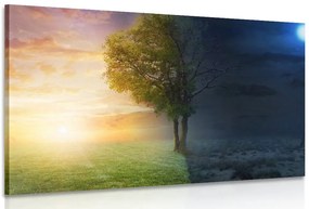 Quadro su tela – Giorno e notte