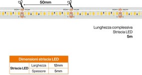 Striscia LED CCT Bianco Variabile 24V 20W/m Professionale - IP67- 5 metri