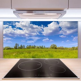 Rivestimento parete cucina Paesaggio del cielo dell'erba del prato 100x50 cm