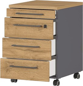 Armadietto color antracite/di colore naturale con effetto rovere con chiusura a chiave/su ruote 42x61x49 cm Agenda – Germania