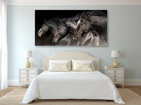 Quadro su tela – Tre cavalli al galoppo