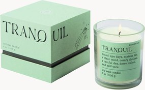 Candela Mood (palme lussureggianti e tranquille)