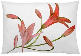 Fodera per cuscino Naturals Denia (30 x 50 cm)
