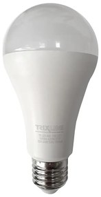 Lampadina LED A65 E27/18W/230V 4200K