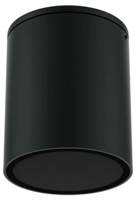 Applique da soffitto Cilindrica PAR30 IP54 in Alluminio e Vetro - Nera