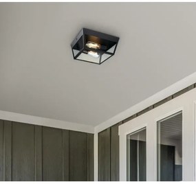 Westinghouse 61219 - Plafoniera da esterno PETERSON 2xE27/40W/230V IP44