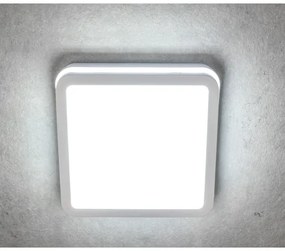Kanlux 33346 - Plafoniera LED da esterno con sensore BENO LED/24W/230V 4000K bianca IP54
