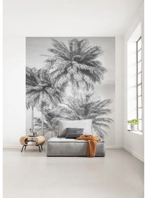 Fotomurale KOMAR Cocco, Multicolore 200X250 cm