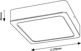Rabalux 2690 - Plafoniera LED SHAUN LED/17W/230V 17 cm