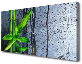 Quadro su tela Foglia di bambù Pianta Natura 100x50 cm