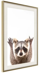 Poster  Funny Racoon  Cornice Quadri Cornice d'oro con passe-partout, Larghezza x Altezza Home decor 20x30