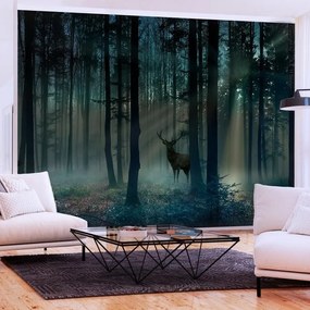 Fotomurale adesivo  Mystical Forest  Third Variant  Larghezza x Altezza Home decor 196x140