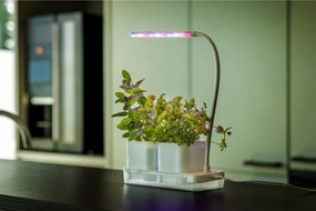 Grow room in metallo Lamp - Esschert Design