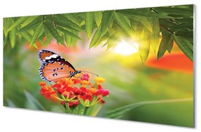 Quadro vetro acrilico Fiori di farfalla colorati 100x50 cm