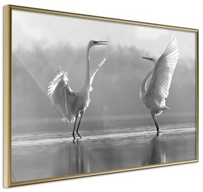 Poster  Black and White Herons  Cornice Quadri Cornice d'oro, Larghezza x Altezza Home decor 45x30