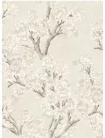 Coordonne Carta da parati Field Maple - Bone