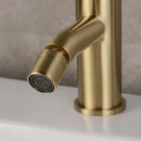 REA-B4702 - Miscelatore per bidet LUNGO 17 cm oro spazzolato