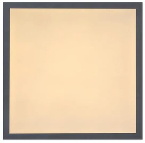 Globo 416080D1 - Plafoniera LED DORO LED/12W/230V