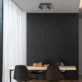 Luce Spot LOGAN 2xE14/40W/230V