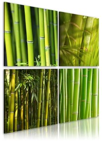 Quadro Bambù