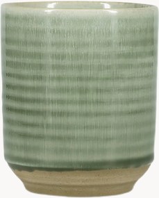Set di 4 tazze Cameo Green