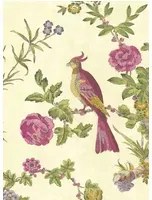 Little Greene Carta da parati Darwin - Jeune