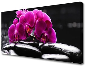 Quadro su tela Pietre Zen dell'Orchid Spa 100x50 cm