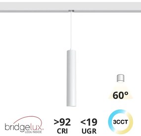 Lampada a Sospensione 10W Magnetica, CCT, CRI92, Bianca Colore Bianco Variabile CCT