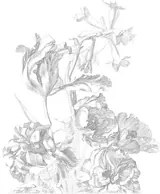 KEK Amsterdam Carta da parati panoramica Engraved Flowers 4 - S