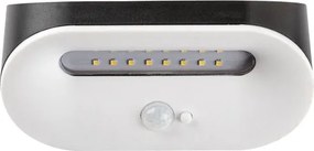 Rabalux 77006 - Luce solare a LED con sensore BREZNO LED/3,2W/3,7V IP44