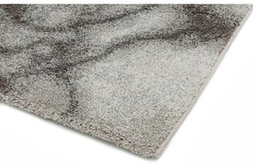 Tappeto grigio 120x170 cm Dream - Asiatic Carpets