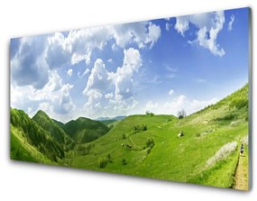 Quadro su vetro Campo naturale di Mountain Meadow 100x50 cm