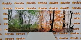 Stampa su tela – Quattro stagioni