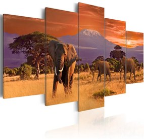Quadro Africa : Elefanti