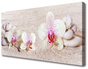 Quadro su tela Orchidea Orchidea Sabbia 100x50 cm