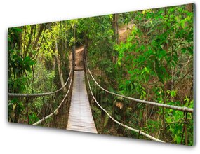 Quadro in vetro acrilico Ponte della giungla della foresta tropicale 100x50 cm